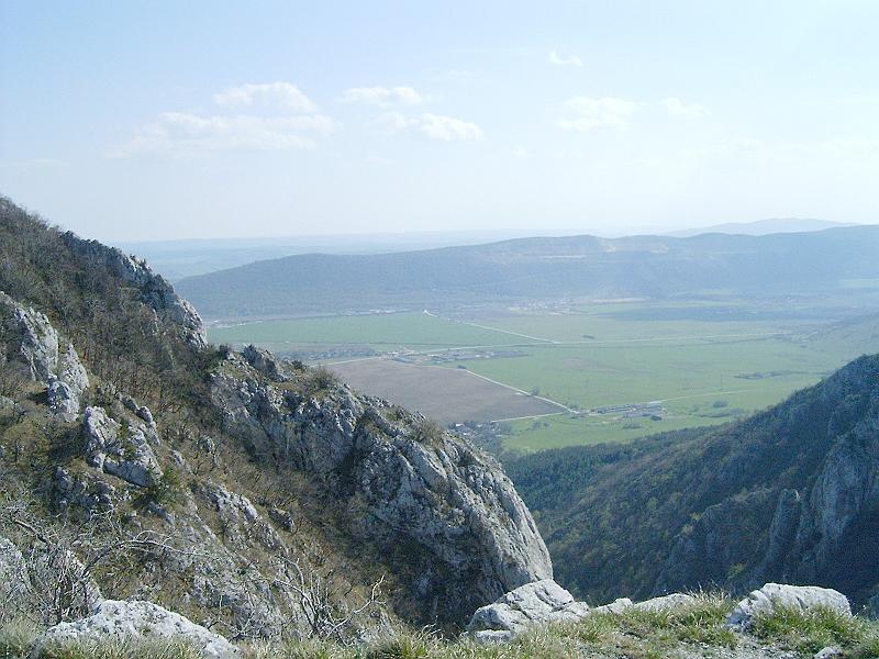 20100417 065.jpg
